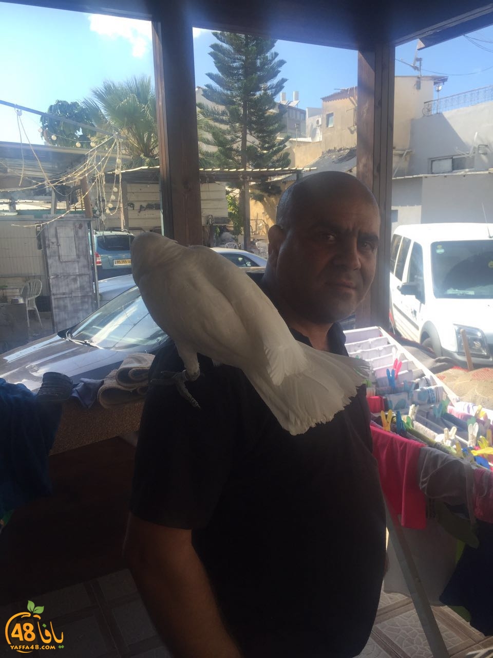 zohdy 3ashor (13).jpg